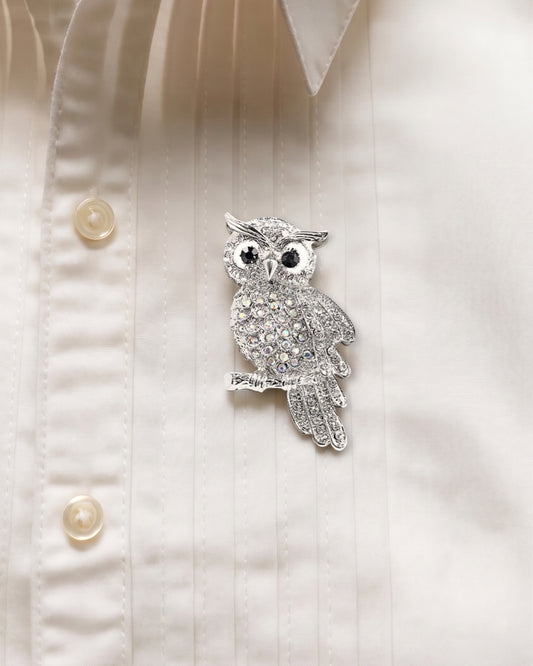 Silver owl brooch