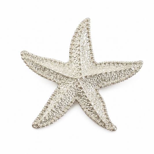 Silver ocean star metal brooch